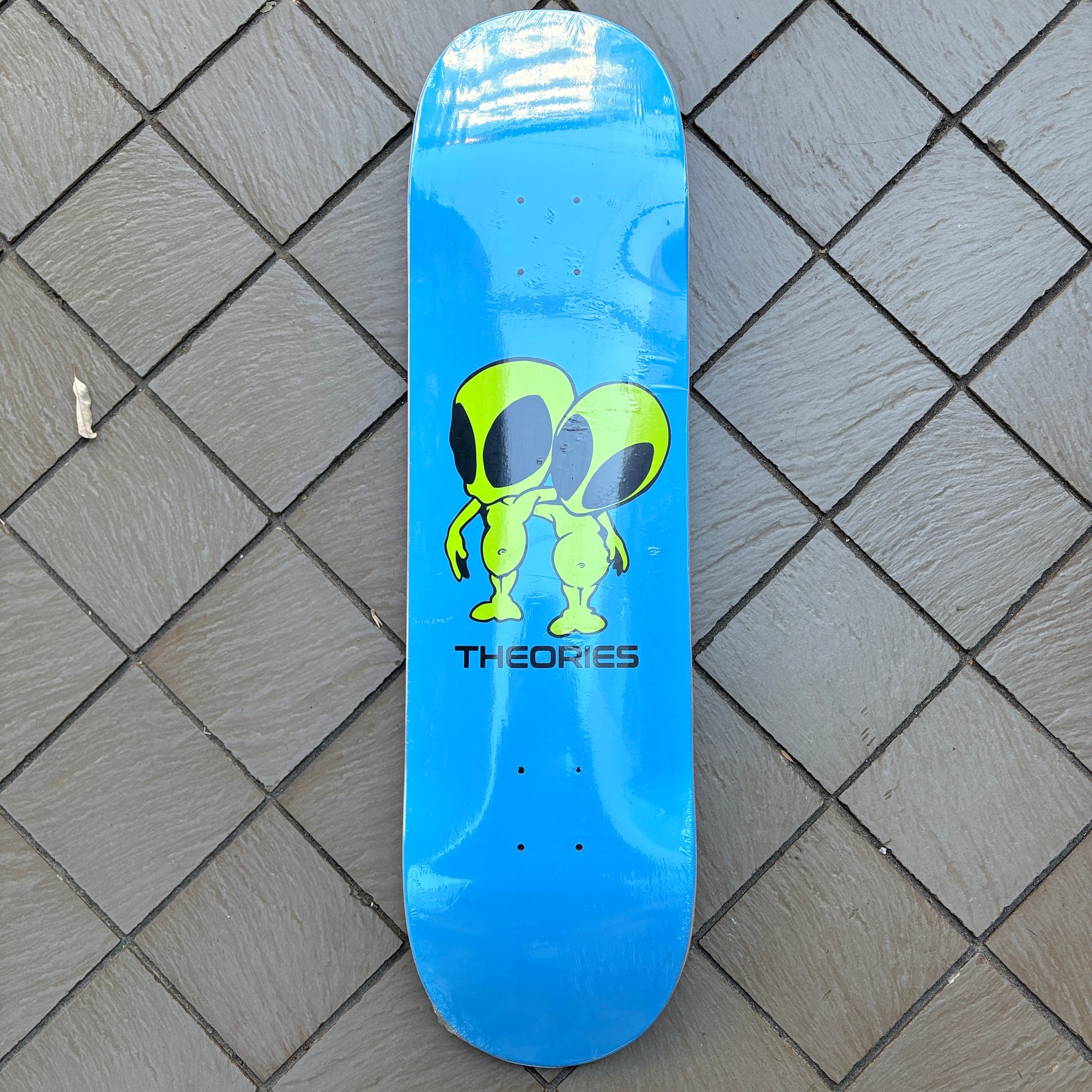 THEORIES – RIVERBIRCH SKATESHOP