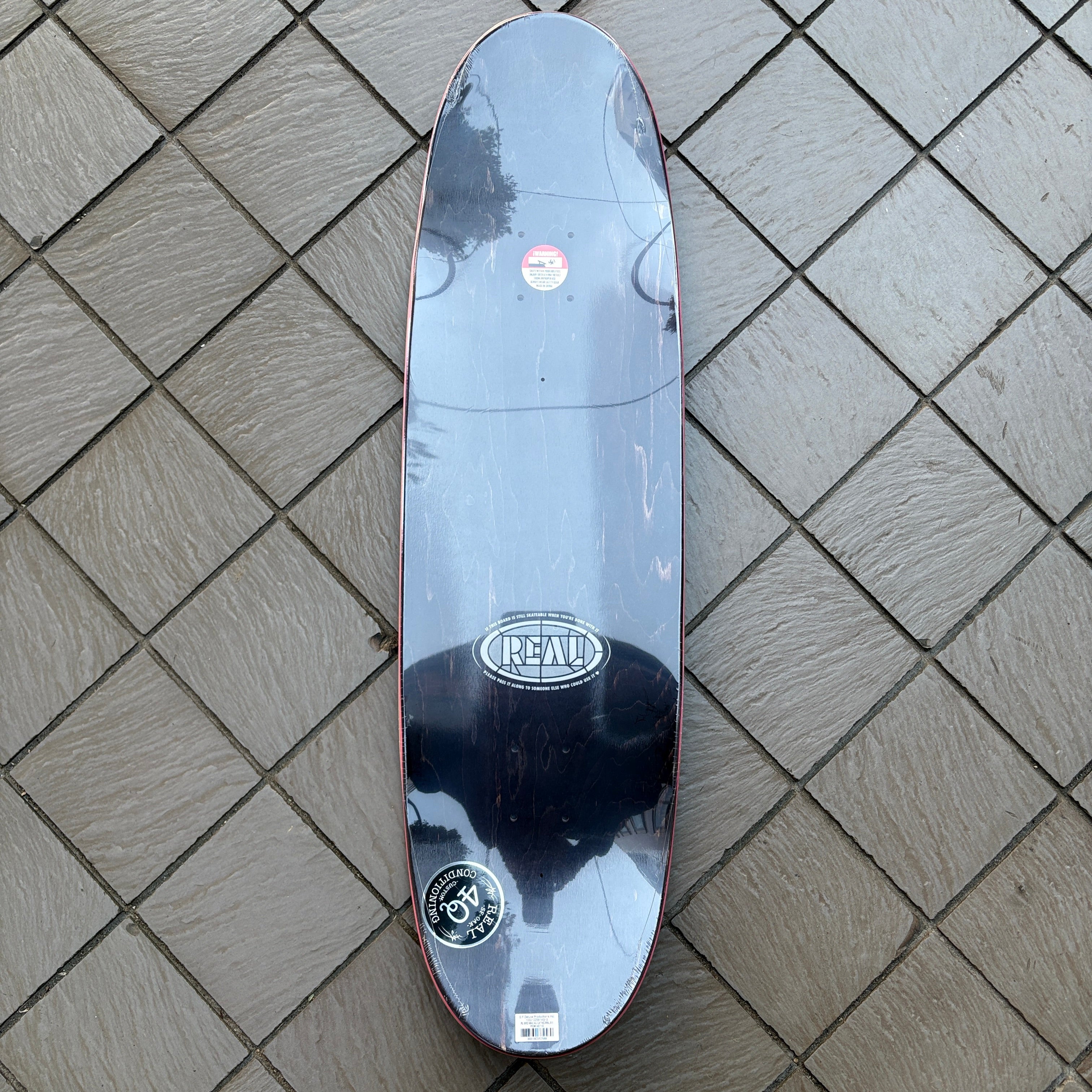 REAL] MAX SCHAAF “4Q CATHEDRAL” - 9.1” x 32” (EGG SHAPE