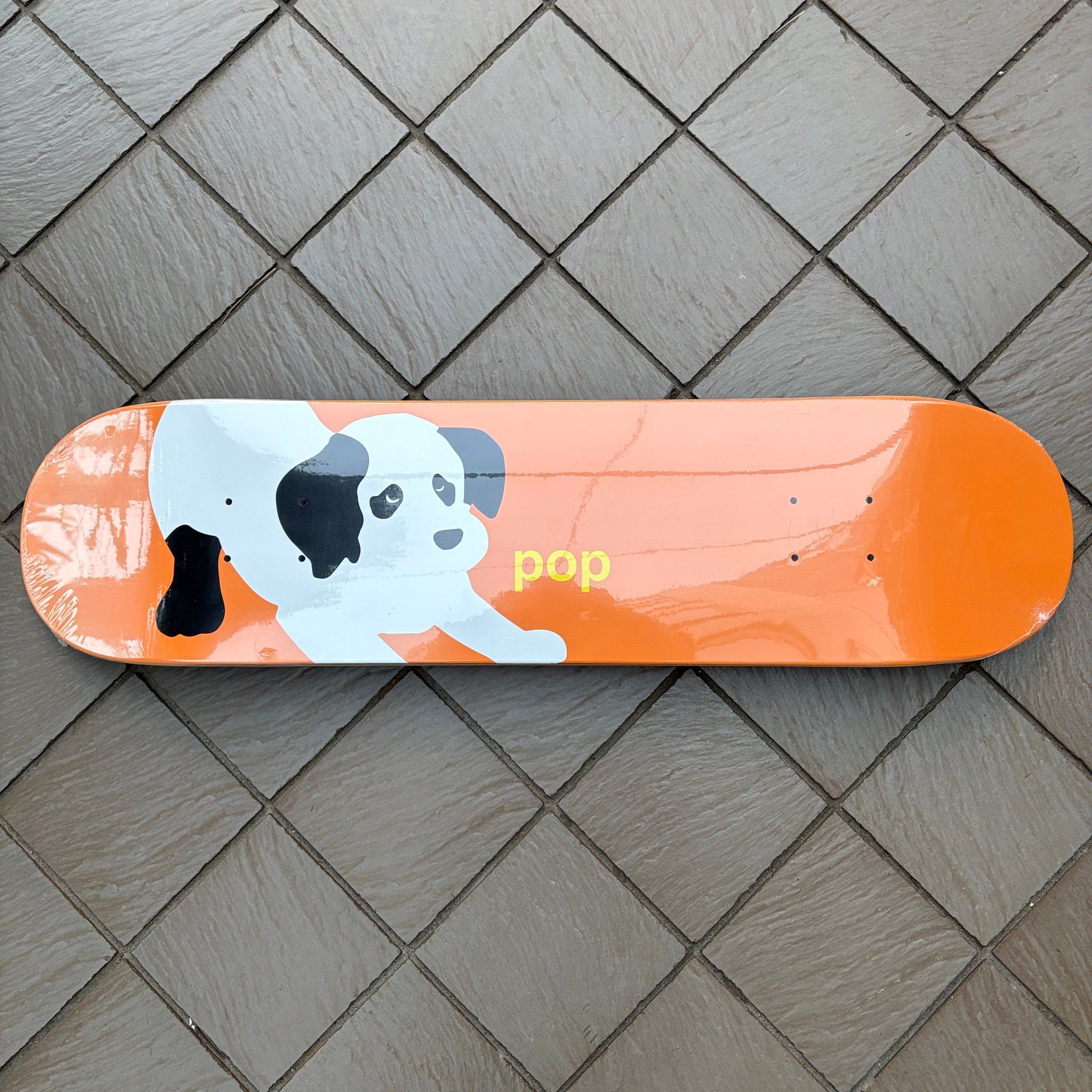 POP TRADING COMPANY – RIVERBIRCH SKATESHOP