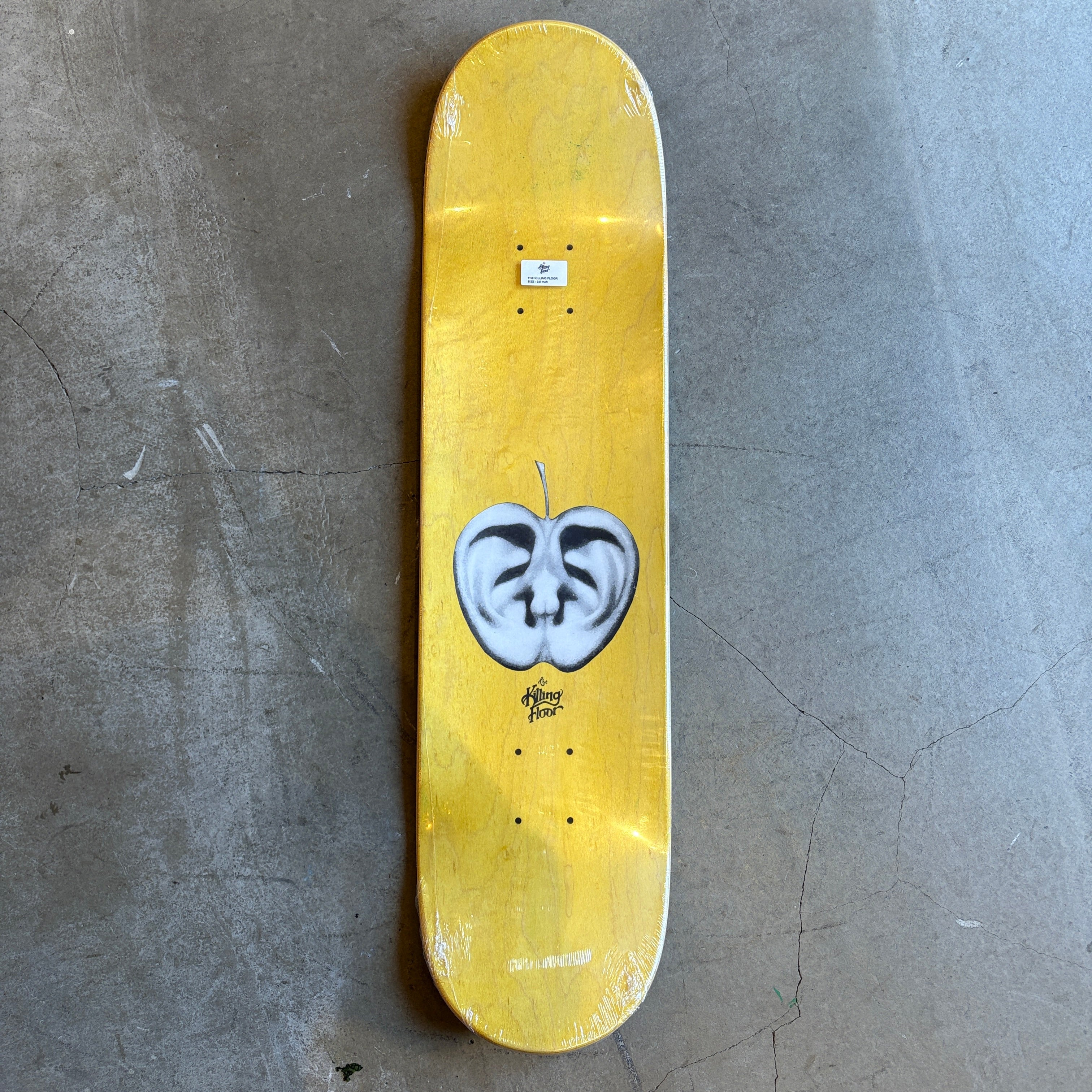 65%OFF【送料無料】 - GIRLS-A.GRAY FLOOR] KILLING THE 8.0” SKATESHOP RIVERBIRCH – デッキ